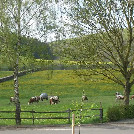 Luxurious Holiday In Oos Eifel With Sauna Vakantiehuis